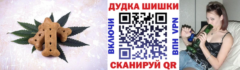 Купить закладки  Мураши  Cannafood конопля 