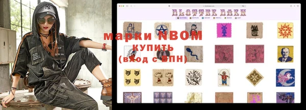 гидра Гусиноозёрск