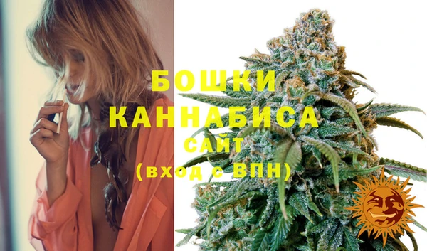 молекула духа Гусев