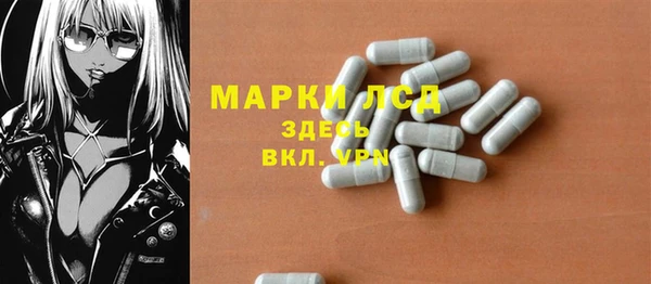 гидра Гусиноозёрск