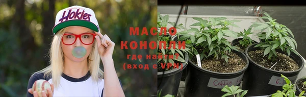 молекула духа Гусев