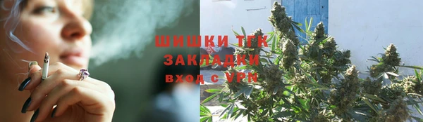 молекула духа Гусев