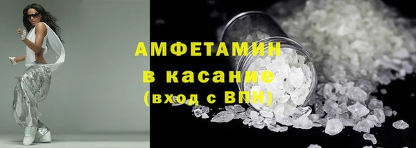 гидра Гусиноозёрск