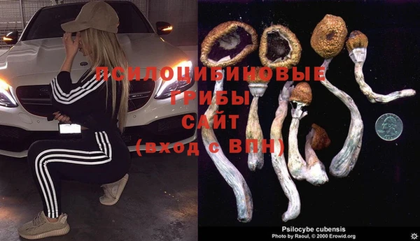 твердый Гусь-Хрустальный
