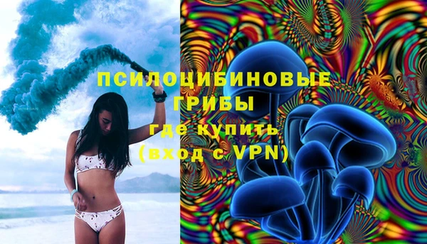 гидра Гусиноозёрск