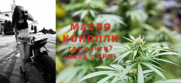 молекула духа Гусев