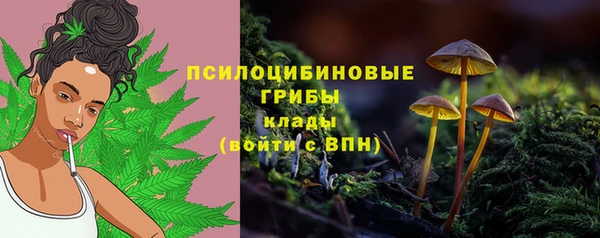твердый Гусь-Хрустальный