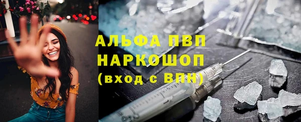 молекула духа Гусев