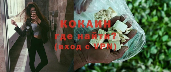 гидра Гусиноозёрск