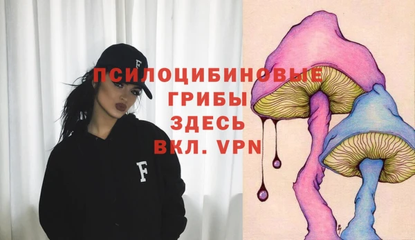молекула духа Гусев