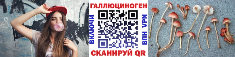 Купить  Мураши  Галлюциногенные грибы мицелий 